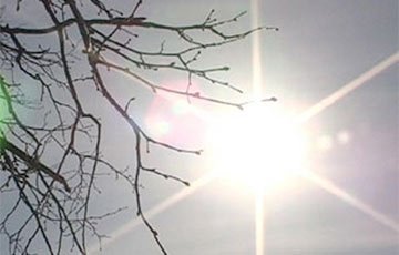 Температура в Гродно установила новый рекорд