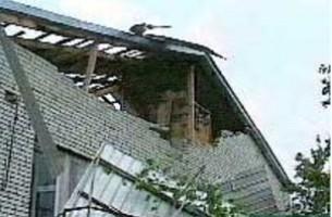 Из-за урагана в Беларуси пострадали свыше 85 населенных пунктов, обесточено  в 15 раз больше