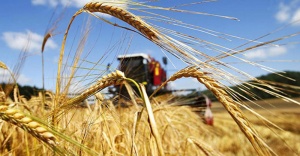 «Требуется максимальная отдача»: Лукашенко научил собирать урожай