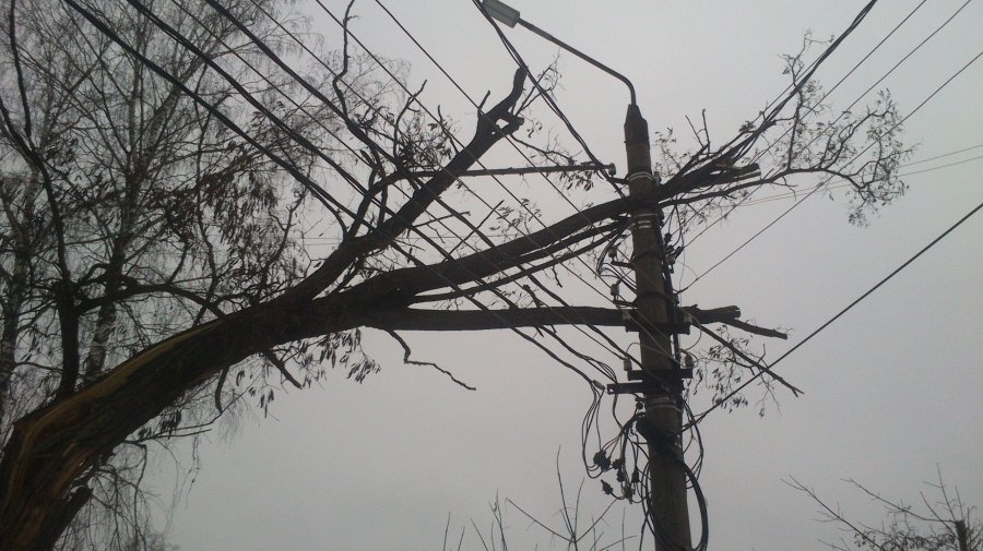 Более 800 населенных пунктов Беларуси остались без электричества из-за шквалистого ветра