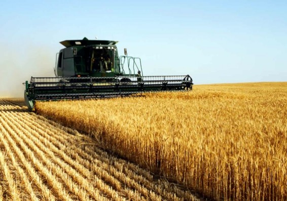 В Беларуси снизили проценты по кредитам для агробизнеса
