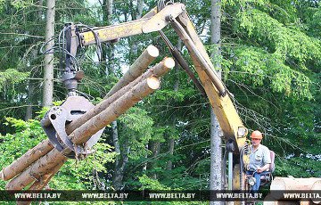 Беларусь переведет котельные с газа на древесину