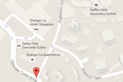 Полиция Сингапура застрелила водителя у места проведения форума по безопасности