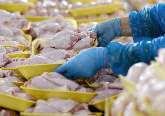 Федерация профсоюзов проведет расследование по поводу роста цен на мясо птицы
