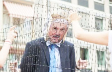 Белорусы Франкфурта посадили Лукашенко в клетку