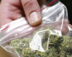 С начала года возбуждено более 430 уголовных дел по обороту наркотиков