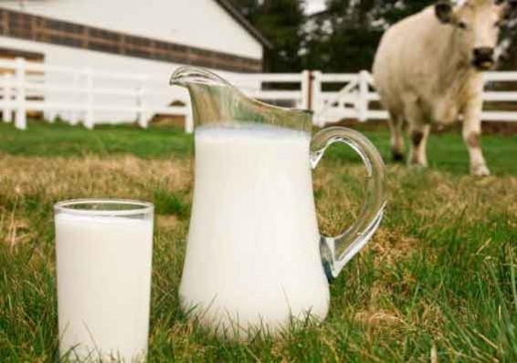 Беларусь отчиталась об устранении недостатков на 10 молочных предприятиях