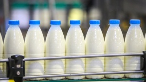 Россия ограничивает поставки белорусского молока