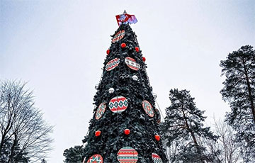 Бело-красно-белый флаг появился на новогодней елке в Степянке
