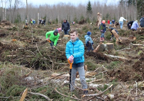 В Беларуси проходит акция "Чистый лес"