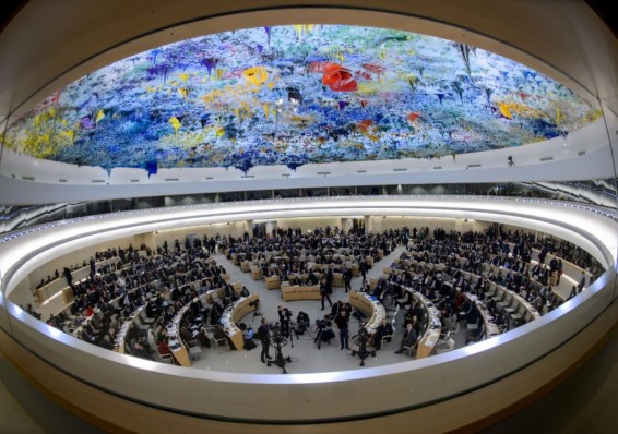 Зиновский обсудил в ООН новую рамочную программу для Беларуси