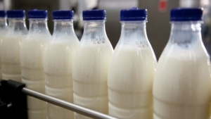 Россия решает, что делать с белорусской молочкой