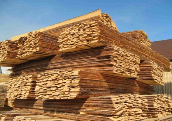 Белорусские лесхозы увеличили экспорт лесопродукции