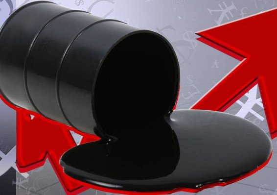 Лукашенко поручил создать серьезные запасы нефти в стране