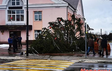 Мощный ветер повалил праздничные елки в белорусских городах