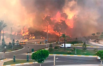 Мощный пожар в Турции удалось взять под контроль