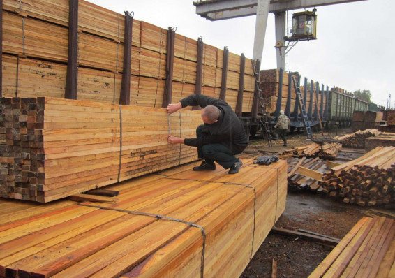 Беларусь начнет поставки лесопродукции в Австрию