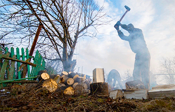 В Беларуси подорожали дрова для тех, кто заготавливает их сам