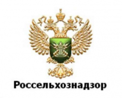 Россельхознадзор не верит, что в Беларуси нет АЧС