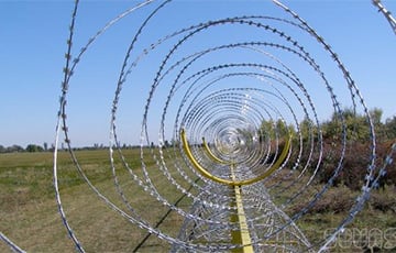Литовский депутат предложил построить на границе с Беларусью забор