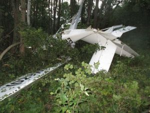 В Беларуси разбился легкомоторный самолет, погиб один из пассажиров
