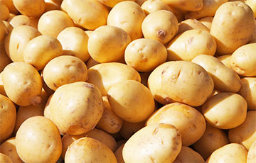 В беларусских магазинах появилась картошка из Египта: ценник кусается