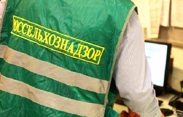 Россельхознадзор обвинил белорусских производителей в ложном транзите