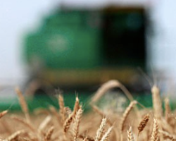 В Беларусь уже намолочено почти 9 млн тонн зерна