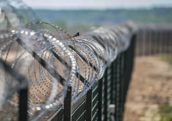 Латвия построит на границе с Беларусью забор