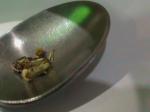 «Белфармация» продает лекарства с жуками
