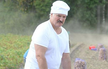 Марголин: Лукашенко как был директором совхоза, так, по сути, им и остался