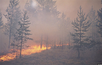Российские шаманы начали проводить обряды для прекращения лесных пожаров
