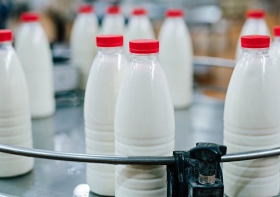 Россия и Беларусь договорились о снятии ограничений на поставку молочной продукции