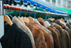В Москве у белоруса-«челночника» украли десятки норковых шуб