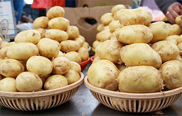 В Беларуси картошка оказалась в лидерах по росту цен