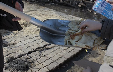 На Масленицу в России людей снова будут кормить с лопат