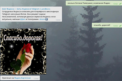 «Яндекс» запустил в Telegram бота с чувством юмора