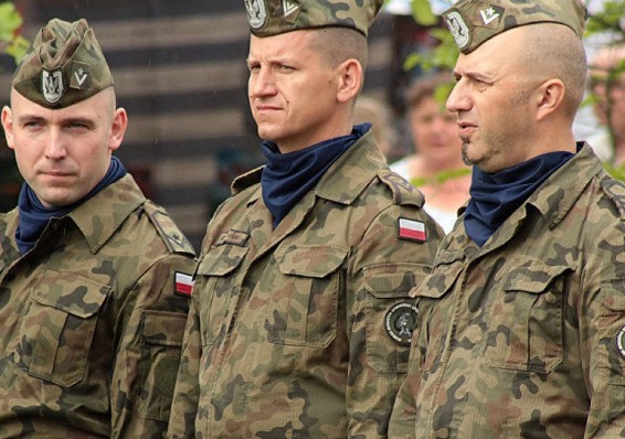 Польские и латвийские военные инспекторы приедут в Беларусь
