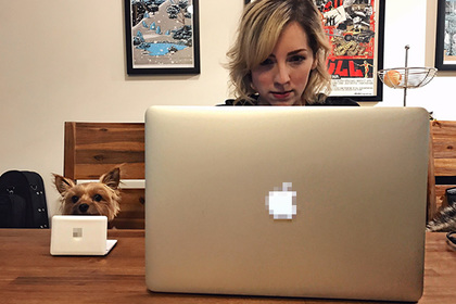 Снимок маленького пса за мини-ноутбуком назвали самым милым фото в сети