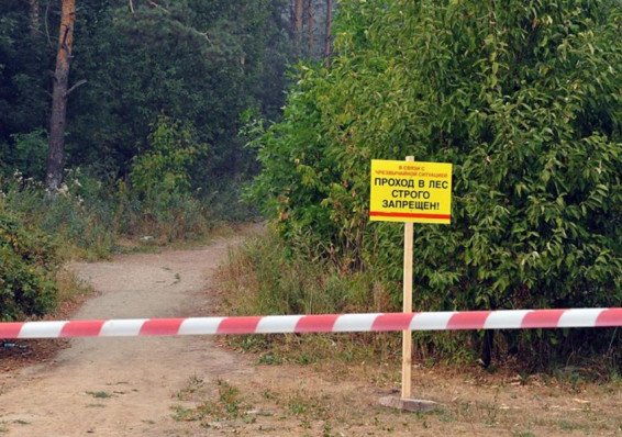 Запрет на посещение лесов введен в 15 районах Беларуси