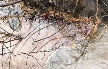 На Западной Двине в Витебске обнаружены огромные масляные пятна