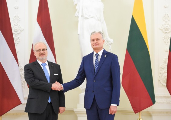 Президентам Литвы и Латвии не удалось договориться об импорте электричества БелАЭС