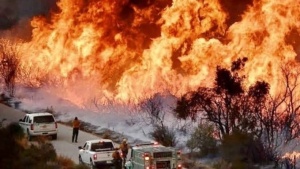 Пожары в Калифорнии унесли 60 жизней, более 600 человек пропали без вести