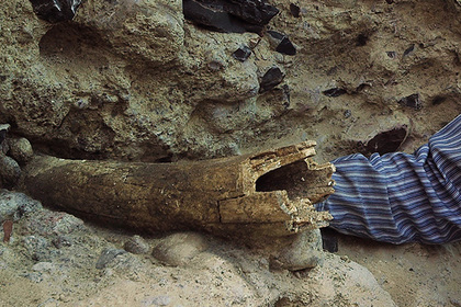 Найдены следы самых древних американцев