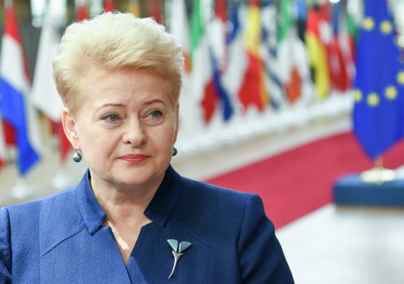 Президент Литвы в Брюсселе расскажет белорусам, какая АЭС нужна Евросоюзу