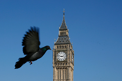 Подключенные к интернету голуби начнут следить за чистотой лондонского воздуха