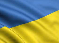 Зрители концерта «Океана Эльзы» обжаловали конфискацию флагов Украины