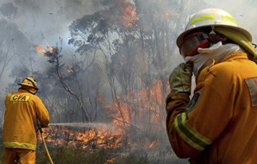 Видеофакт: Дым от лесных пожаров в Австралии дошел до Чили и Аргентины