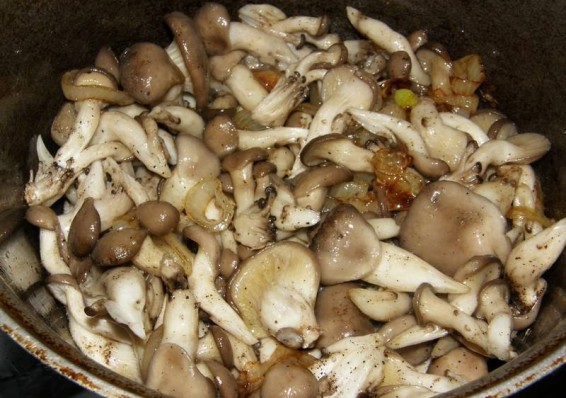 Беларусь завалила российский рынок грибами и редькой, Россельхознадзор - обеспокоен