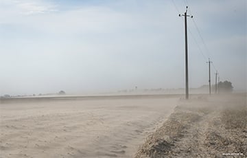 Буря в пустыне: как Полесье зарастает барханами